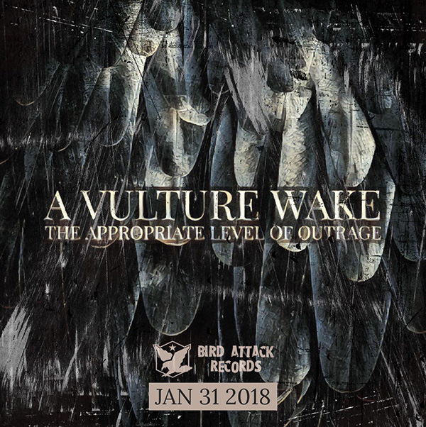 Vulture Awake