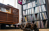 Inside RYAN WILLMOTT's Record Collection