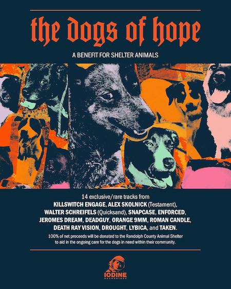 dogs