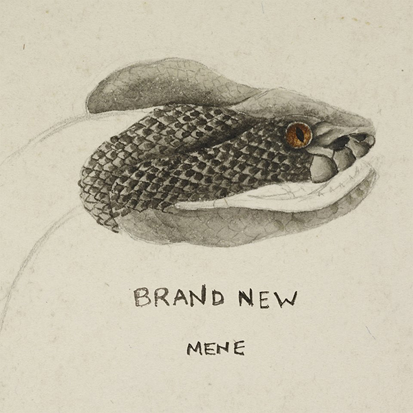 BrandNew