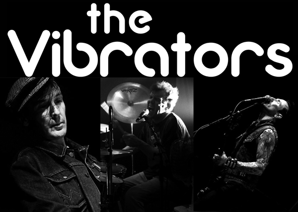 vibrators_2013
